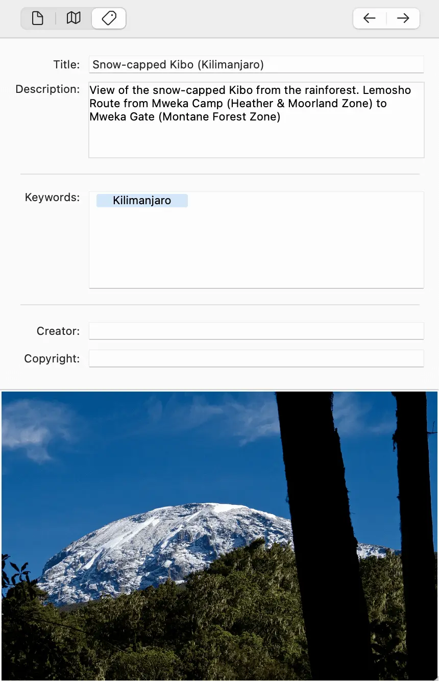 Metadata editing interface